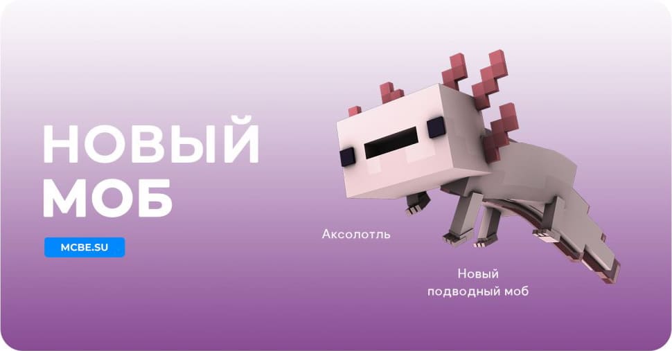 Как выглядит Аксолотль в Майнкрафт