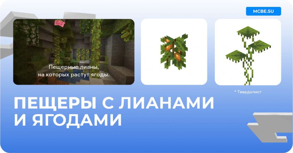 Пещеры с лианами и ягодами в игре и блоки которые там встречаются
