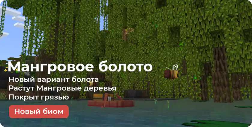 Особенности Мангровых болот