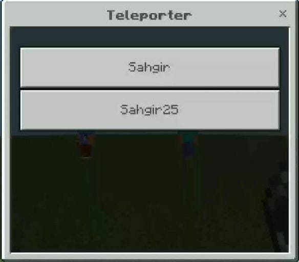 Игрок использовал компас и открыл список игроков