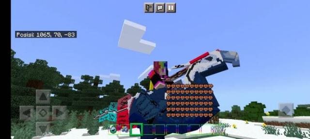 Игрок верхом катается на новой птице