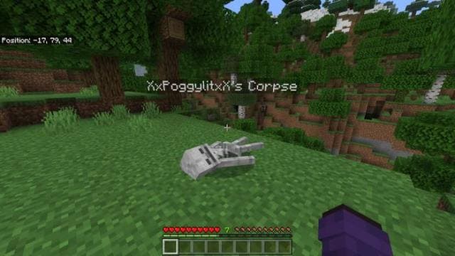 Скелет игрока