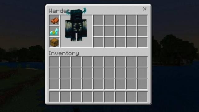 Вещи в инвентаре Вардена