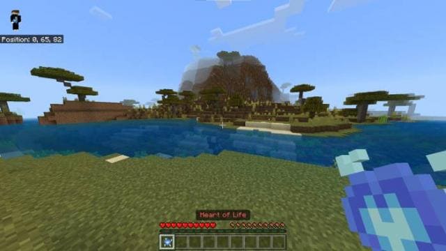 Применение сердца жизни