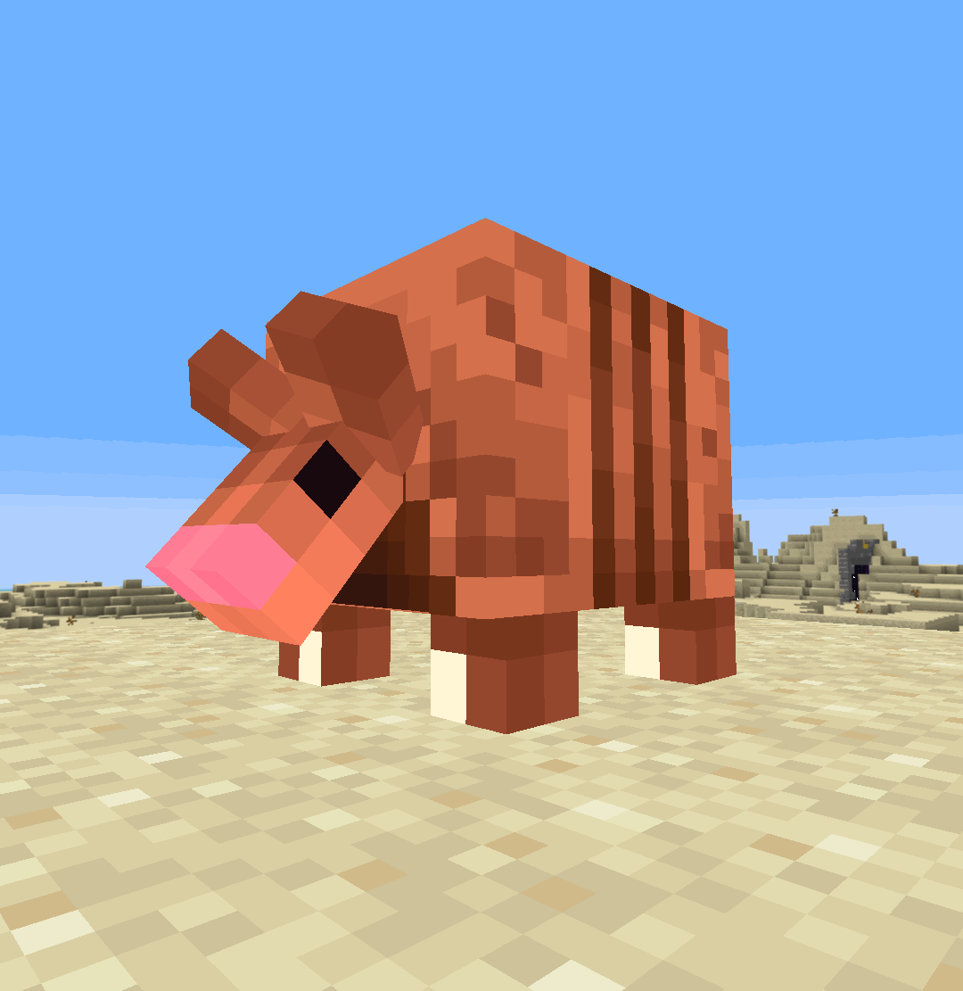 Броненосец сворачивается в клубок и обратно