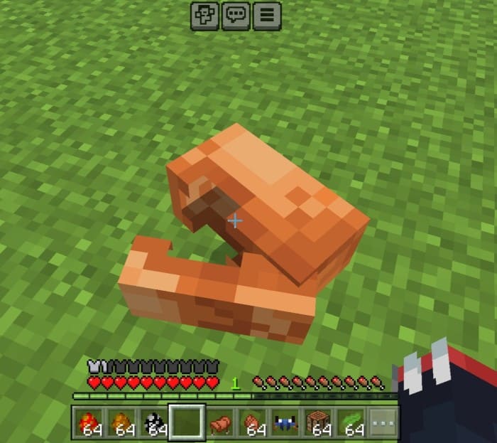 Клешня краба лежит на земле